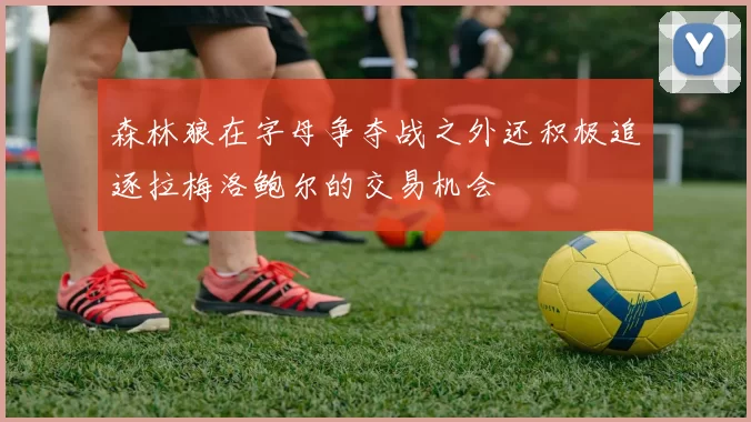 森林狼在字母争夺战之外还积极追逐拉梅洛鲍尔的交易机会