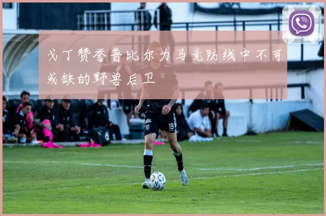 戈丁赞誉普比尔为马竞防线中不可或缺的野兽后卫